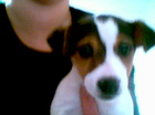 mijn Doggie